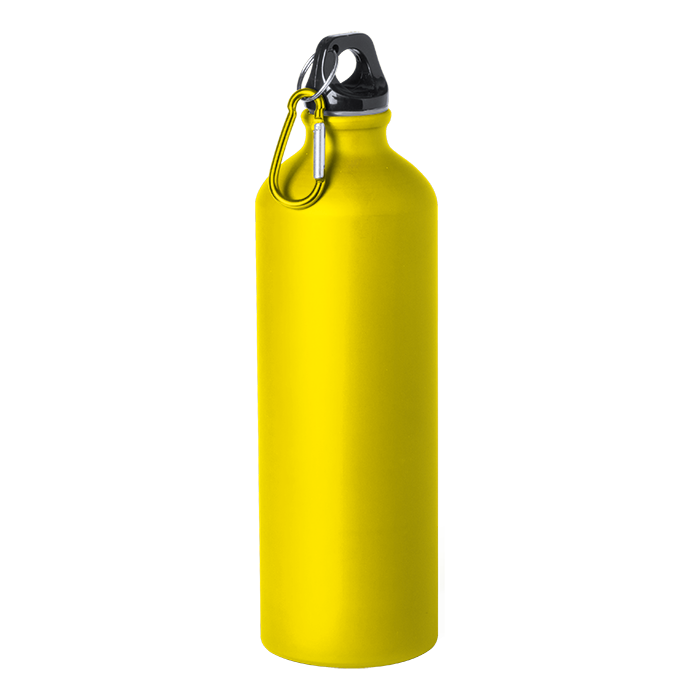 Barron Delby 800ml Water Bottle