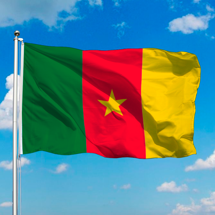 Barron CAMEROON FLAG
