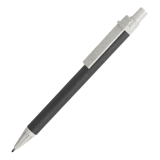 Salcen Ballpoint Pen (BP6496)