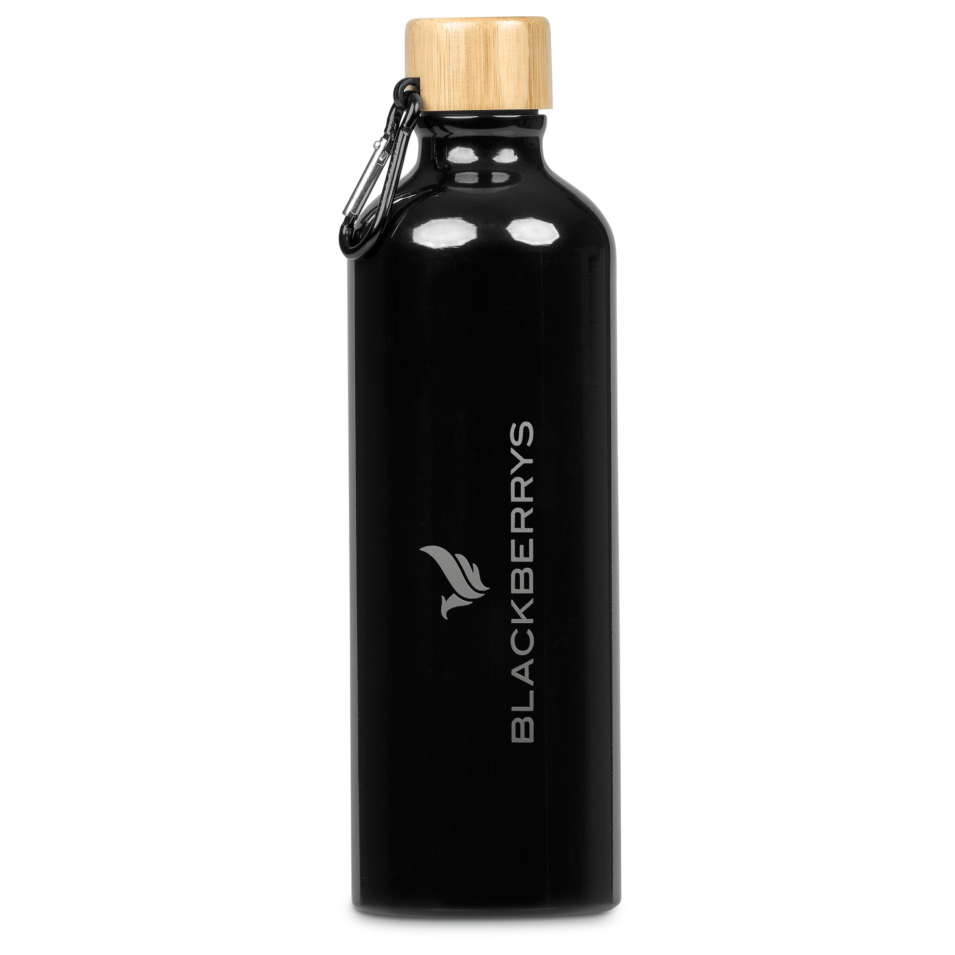 Serendipio Origen Water Bottle – 750ml (DR-SD-237-B)